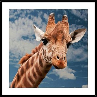 Obrázek z Obrázek barevný 30x30cm - žirafa 